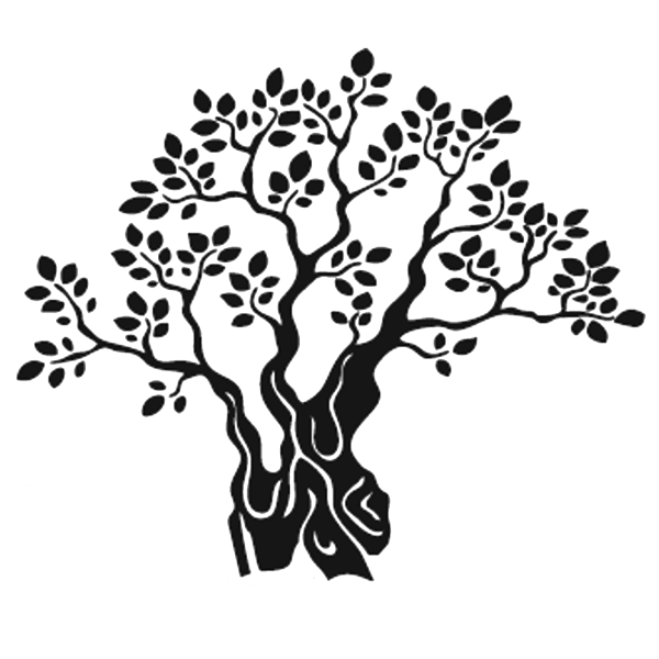 Olivo - Azienda Agricola Ferdinando Datteo